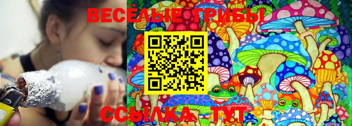 Галлюциногенные грибы ЛСД Электрогорск