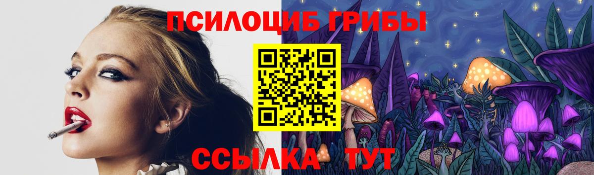 Электрогорск  где купить наркотик  Вход с VPN  Псилоцибиновые грибы мухоморы  Галлюциногенные грибы Psilocybe 